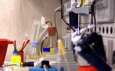 Dall?interno di una fabbrica che non può fermarsi
