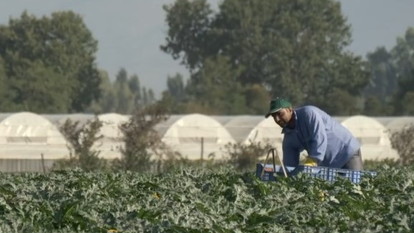 Ricerca, tecnologie e formazione per l'agricoltura, gli agricoltori, i consumatori