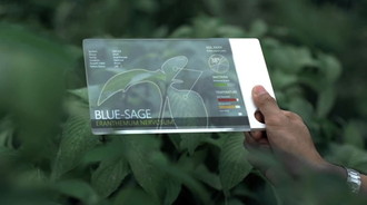 La città sensoriale