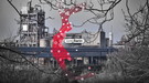 Industria tossica