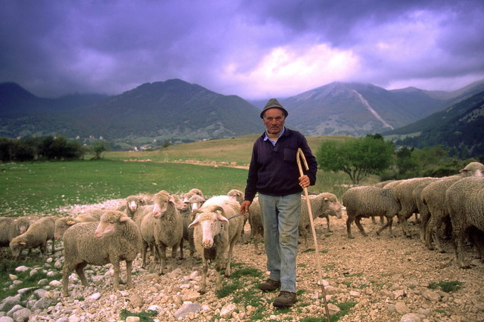 PASTORE CON IL SUO GREGGE PARCO NAZIONALE D' ABRUZZO - UN PASTORE CON IL SUO GREGGE
FOTO DI © INA/SINTESI
ITALY - ABRUZZO NATIONAL PARK - HERDSMAN
